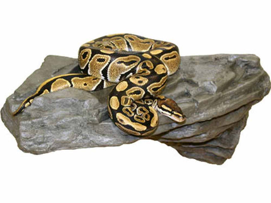 Lg X-tra Strong Rock Ledge Granite Magnaturals 