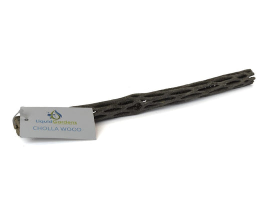 LG Cholla Wood 12in