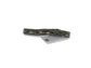 LG Cholla Wood 6in