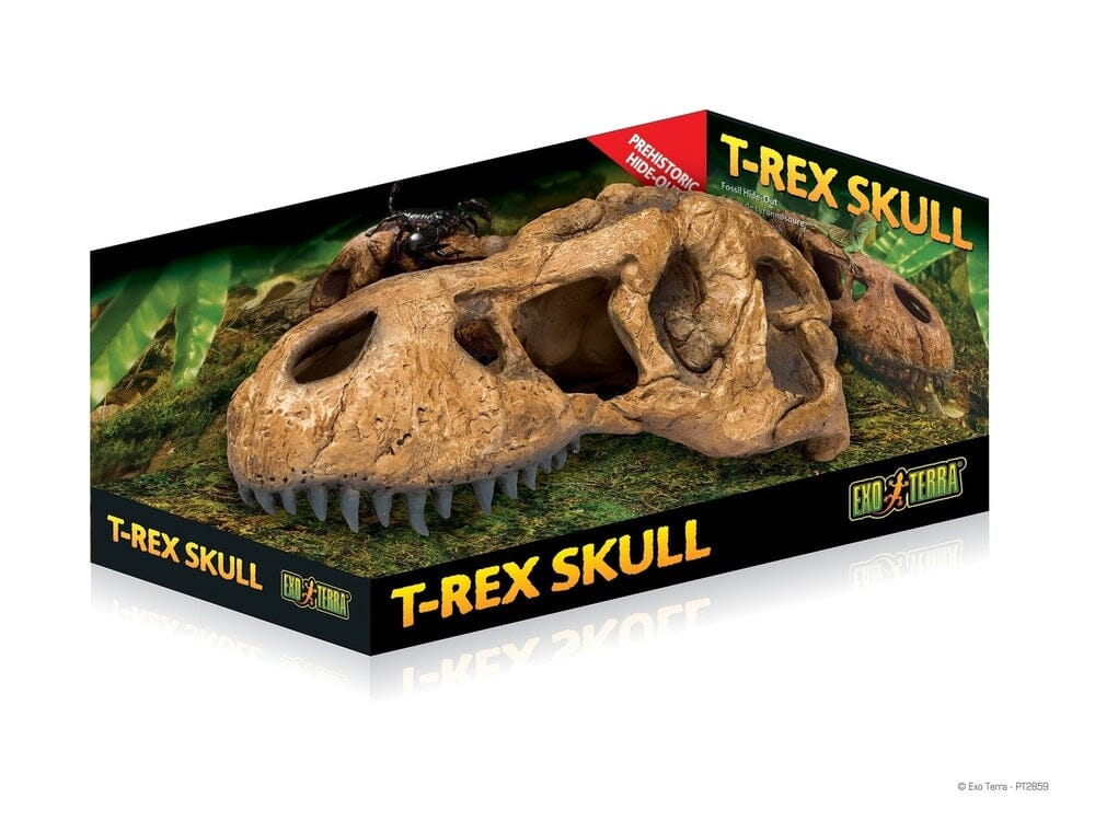 Exo Terra T-Rex Skull Exo Terra 