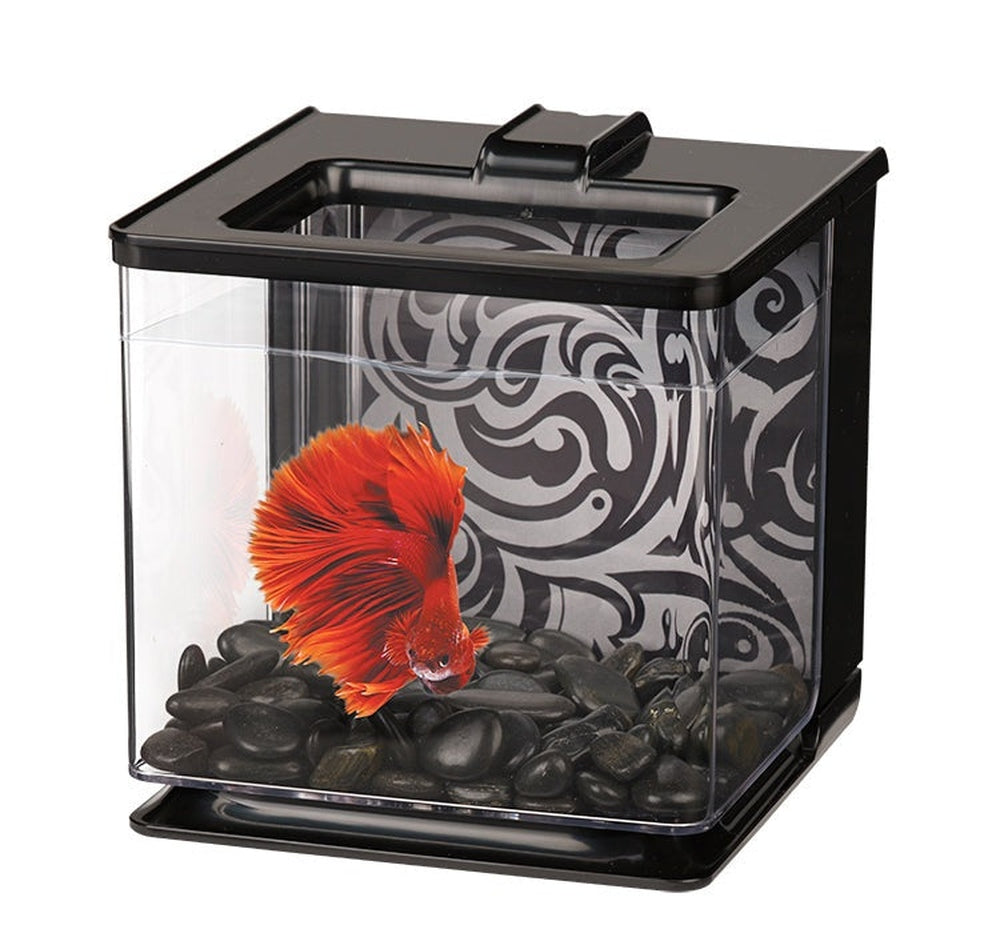 MA 2.5L EZ-Care Betta Kit - Black