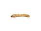 Small Mealworms