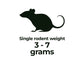 Rodents - Shipping Included