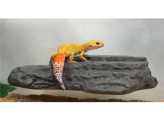 Med Rock Ledge Granite Magnaturals 