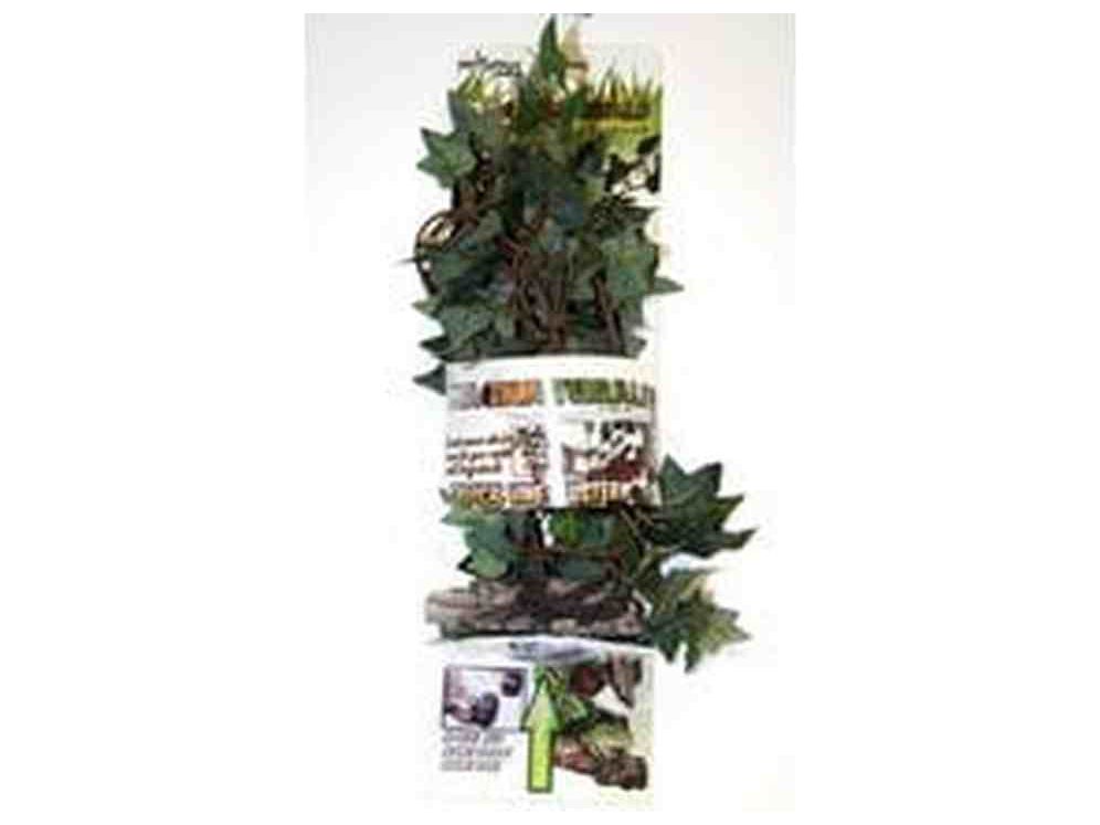 Jungle Vine Cluster