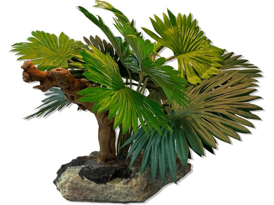 Mini Fan Palm w/Driftwood