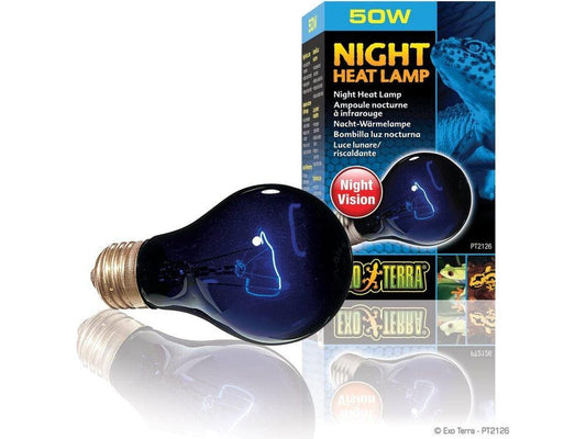 Exo Terra Night Heat Lamp, 50w Exo Terra