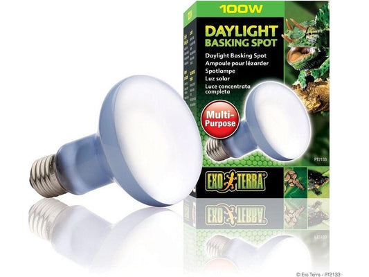 Exo Terra Daylight Basking Spot, 100w Exo Terra