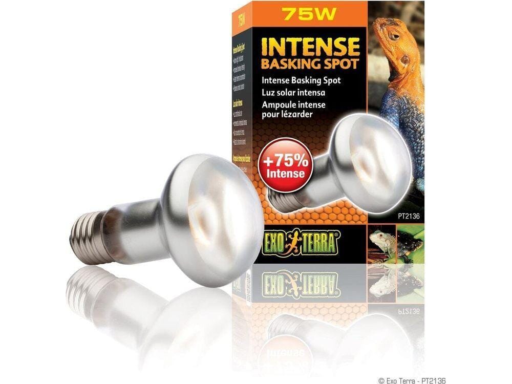 Damaged Box! Exo Terra Intense Basking Spot 75W Auction