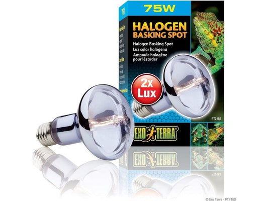 Exo Terra Halogen Basking Spot, 75w Exo Terra