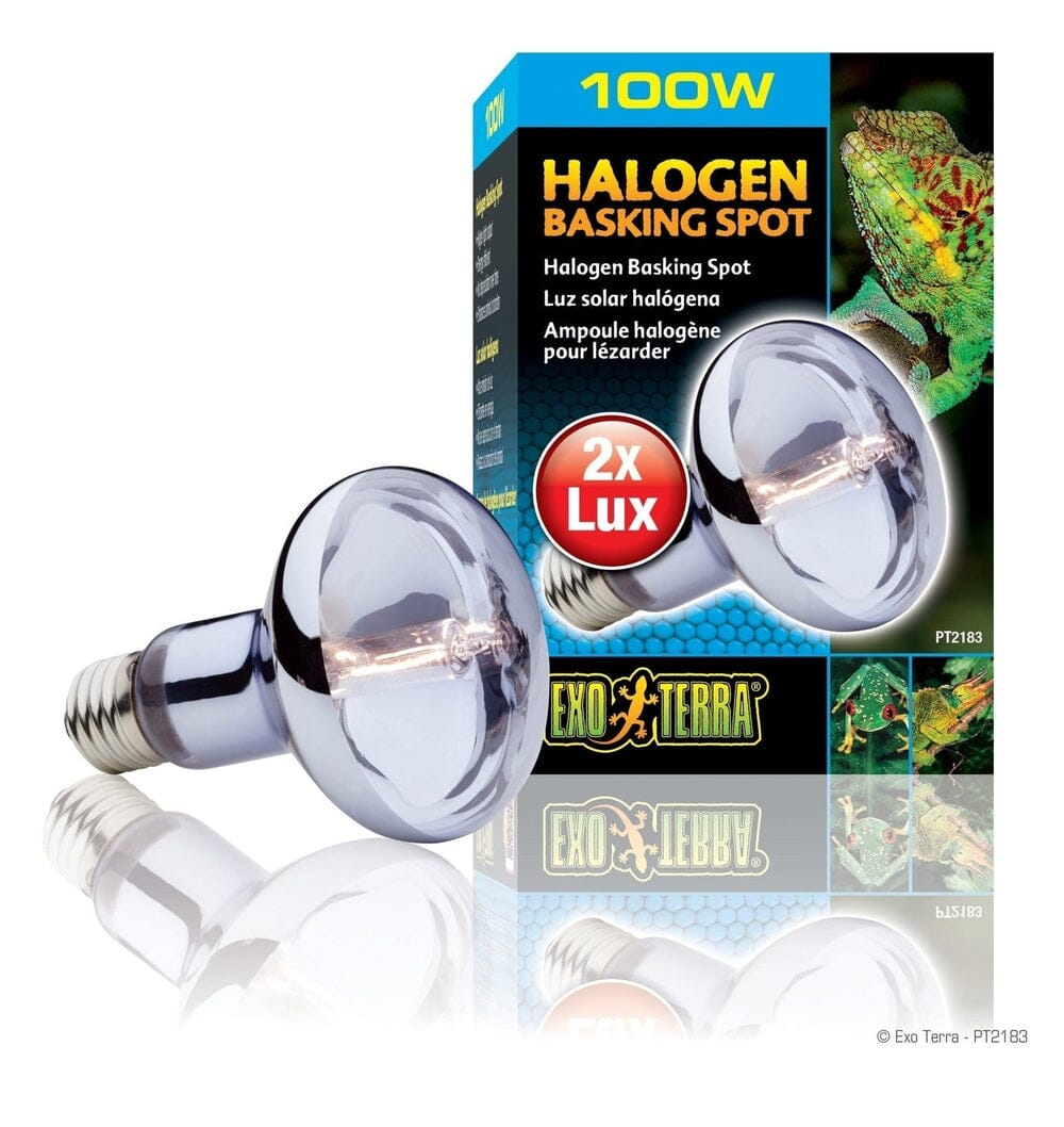 Exo Terra Halogen Basking Spot, 100w Exo Terra