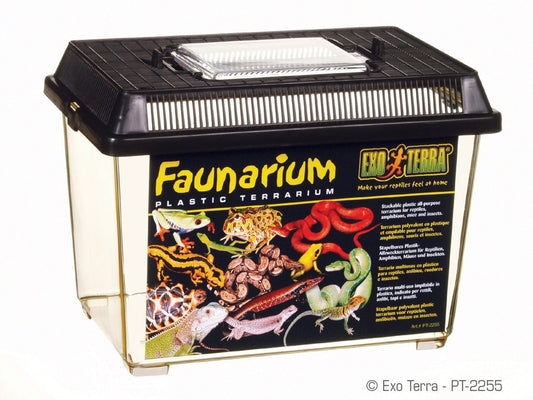 Exo Terra Faunarium, Small