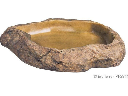 Exo Terra Feeding Dish Medium Exo Terra