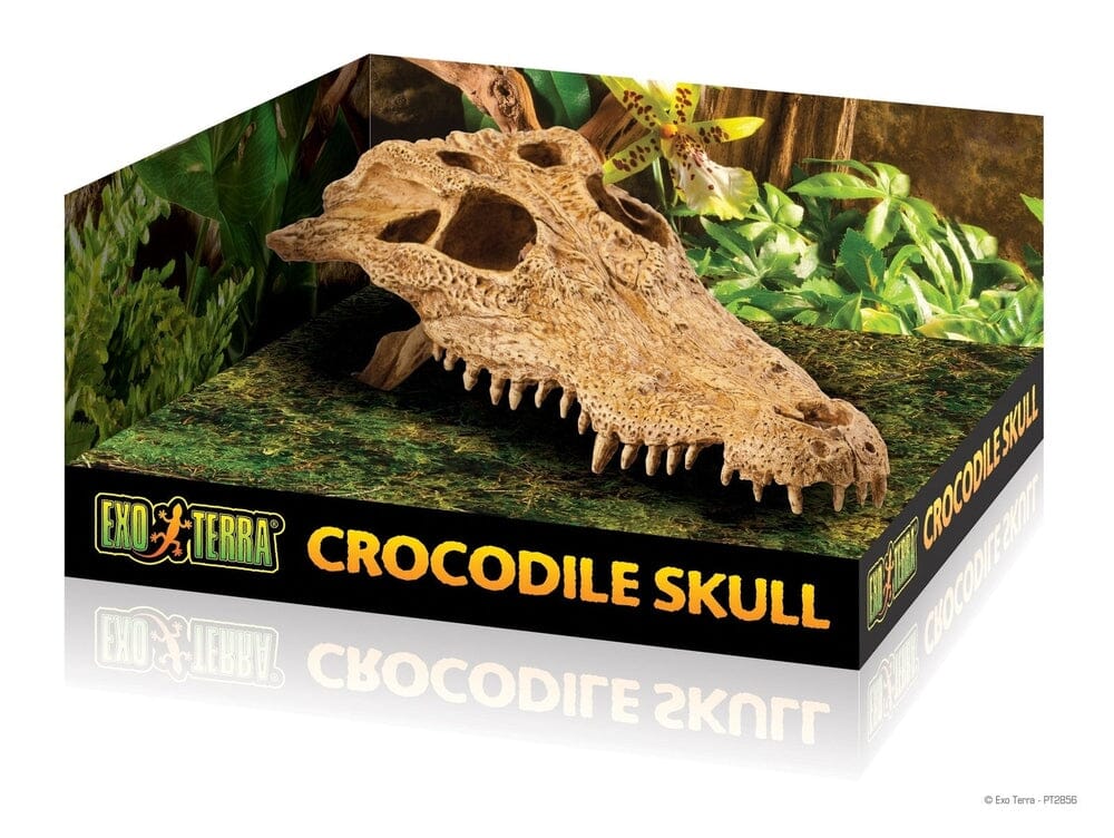 Exo Terra Crocodile Skull Exo Terra 