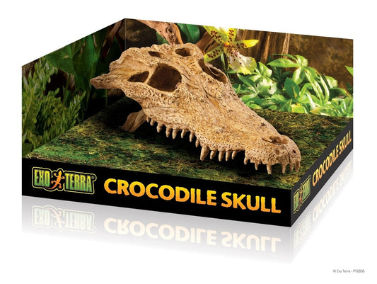 Exo Terra Crocodile Skull Exo Terra