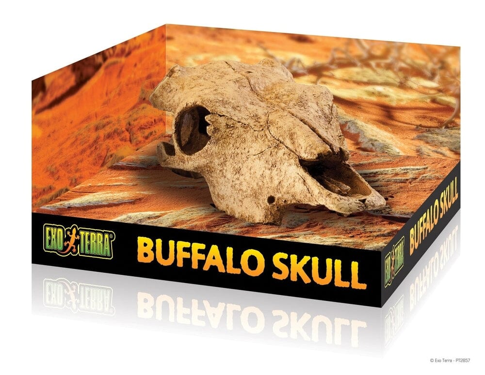 Exo Terra Buffalo Skull, Large Exo Terra