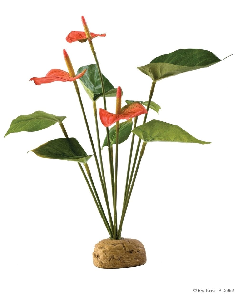 Exo Terra Anthurium Bush Exo Terra 