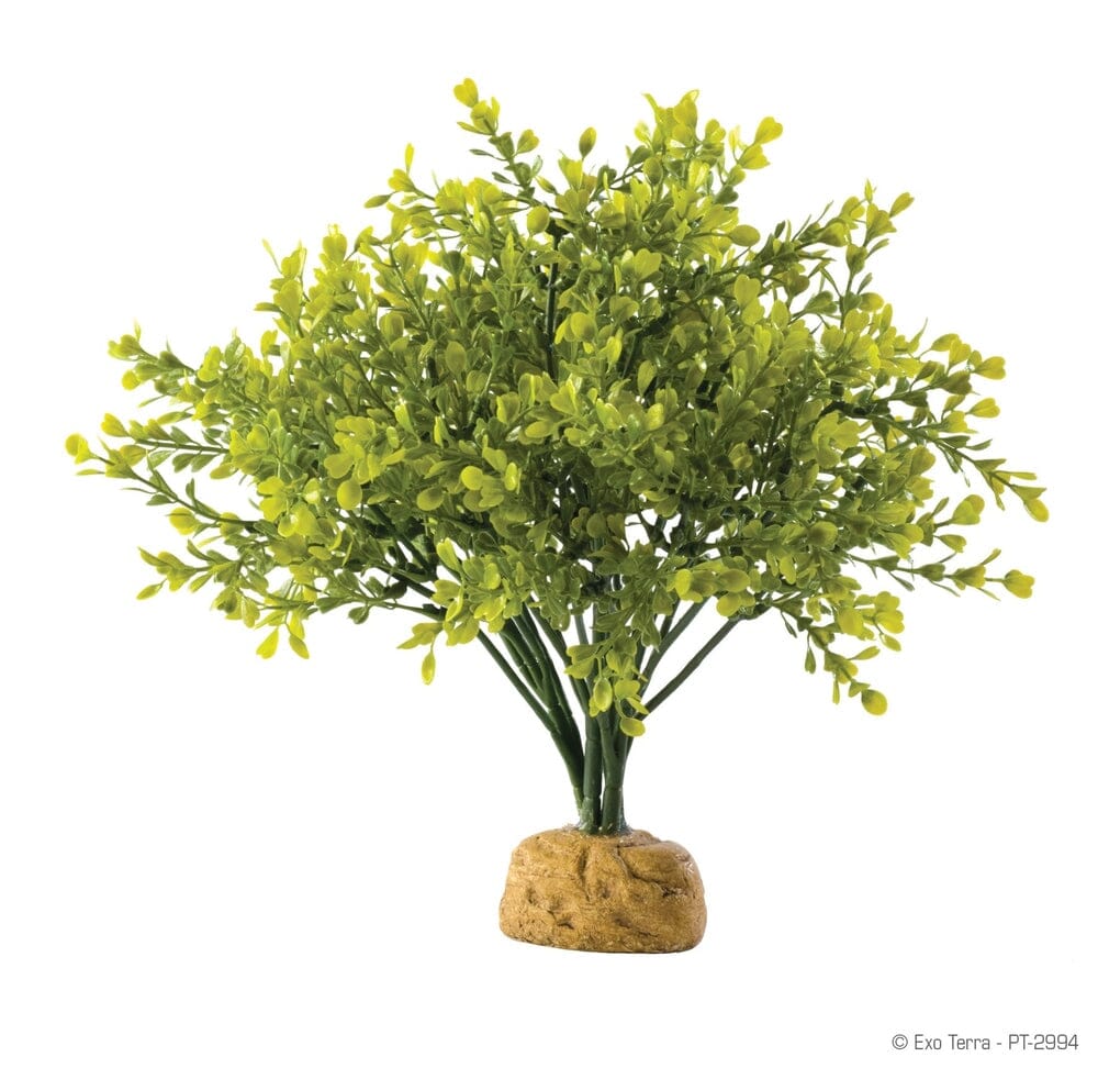 Exo Terra Boxwood Bush Exo Terra 