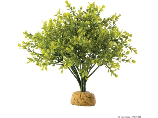Exo Terra Boxwood Bush Exo Terra