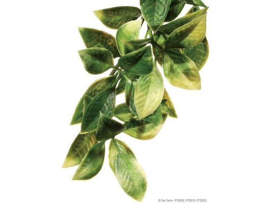 Exo Terra Mandarin Plant, Small Exo Terra