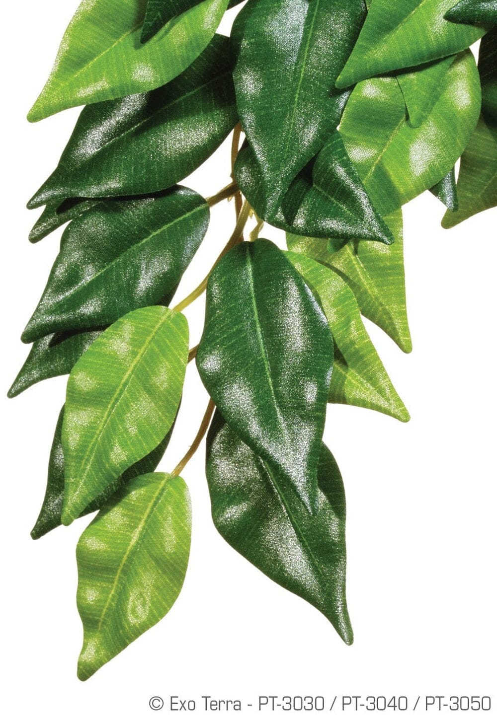 Exo Terra Ficus Silk Plant, Small Exo Terra 