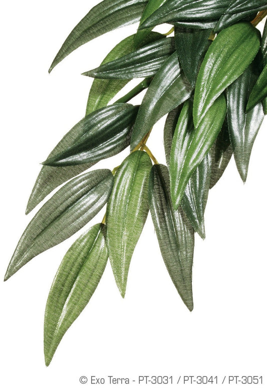 Exo Terra Rucus Silk Plant, Medium