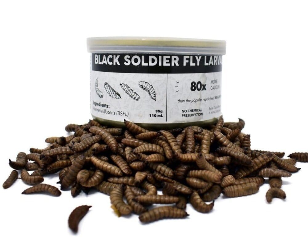 Canned Black Soldier Fly Larvae nutrigrubs DubiaRoaches.com