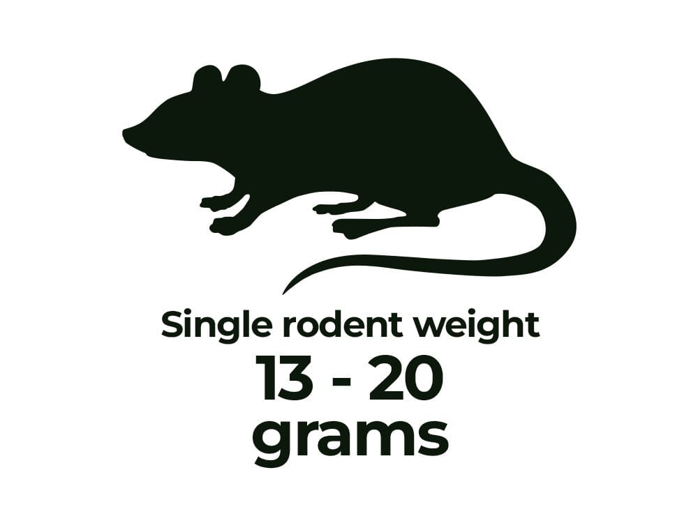 Rodents - Shipping Included