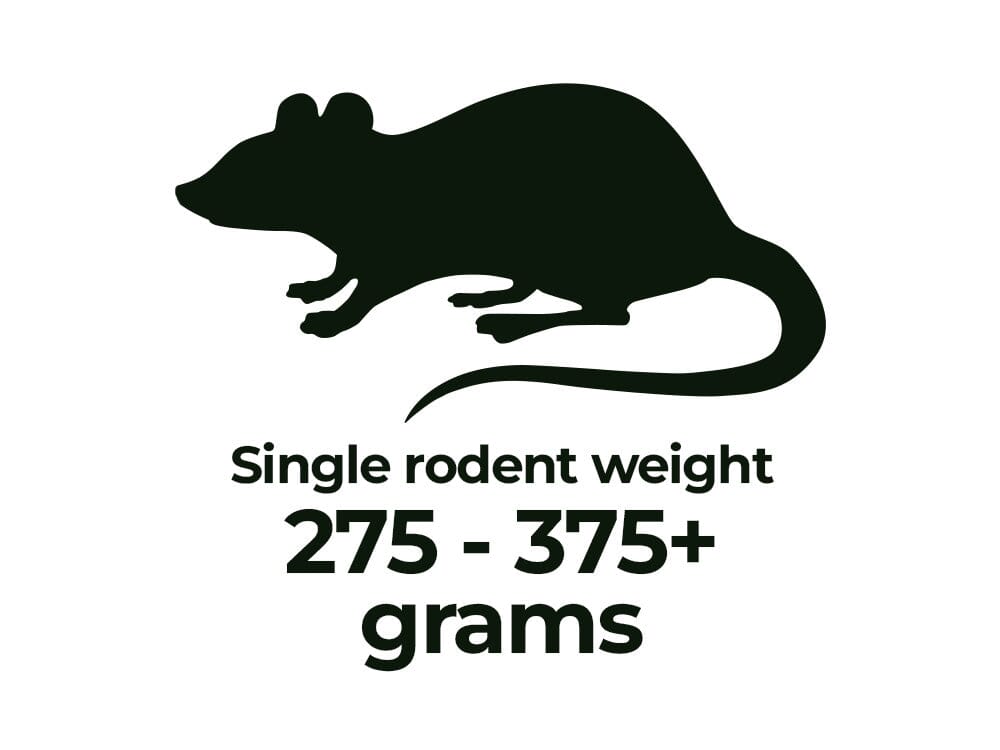 Frozen Rodents FREE SHIPPING – Dubia.com