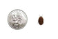 1000ct Discoid Roaches - Florida Legal Auction