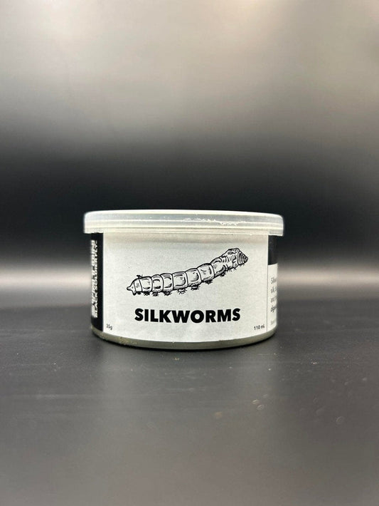 Canned Silkworms