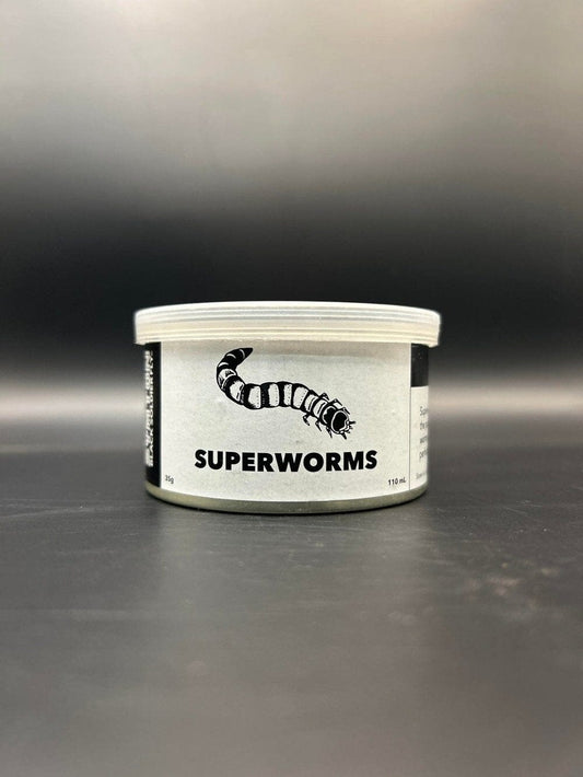 Canned Superworms Diet & Nutrition DubiaRoaches.com 