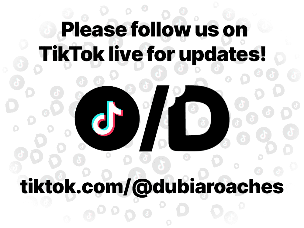 Acrylic Habitat 3x3x3