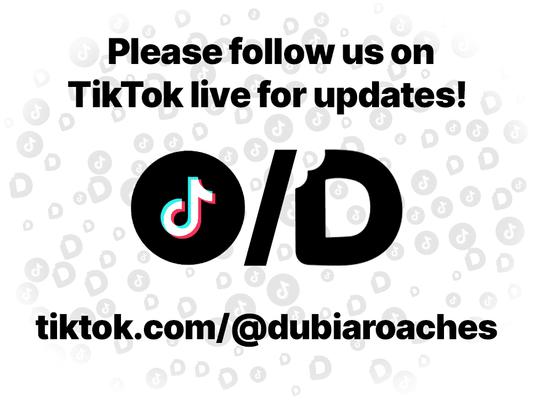 Acrylic Habitat 3x3x3