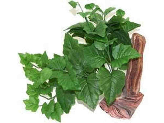 Tropical Plant w/Driftwood