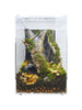 Herpcult Acrylic Enclosure Medium-Tall 8"x8"x12" Herpcult 
