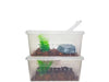 Herpcult Medium Breeding Box Herpcult 