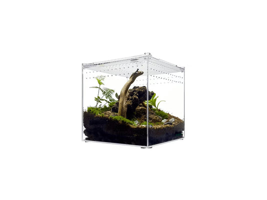 Herpcult Acrylic Enclosure Large 10"x10"x10"