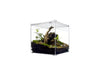 Herpcult Acrylic Enclosure Large 10"x10"x10"