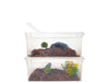 Herpcult Small Breeding Box Herpcult 