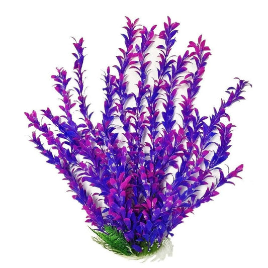 Aquatop Hygro Aquarium Plant- Pink/Purple 20 in Aquatic Decor Aquatop 