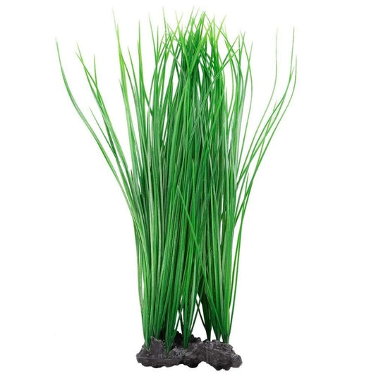 Aquatop Onion Grass Aquarium Plant Green16 in Aquatic Decor Aquatop 