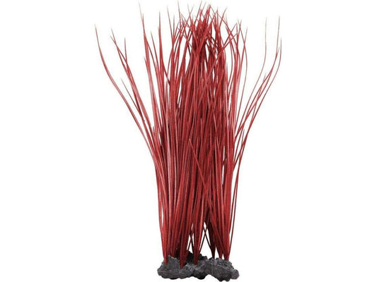 Aquatop Onion Grass Aquarium Plant Red 16 in Aquatic Decor Aquatop