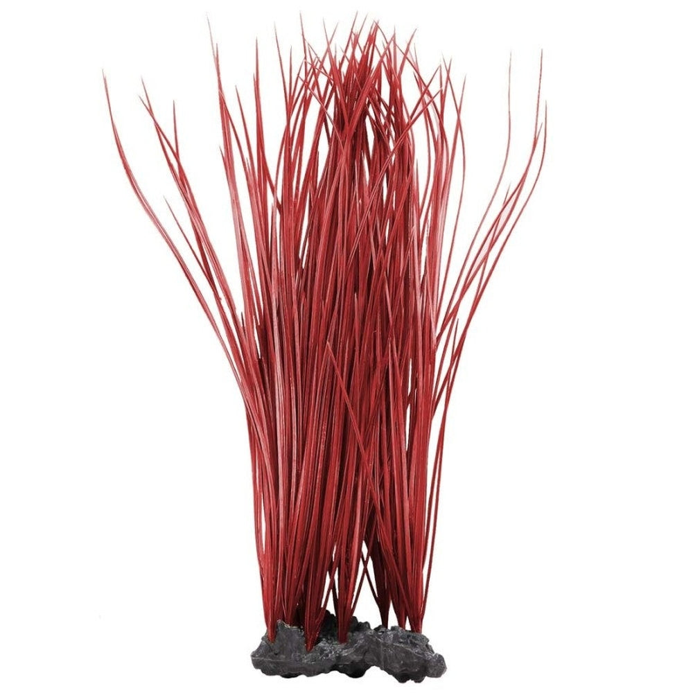 Aquatop Onion Grass Aquarium Plant Red 16 in Aquatic Decor Aquatop