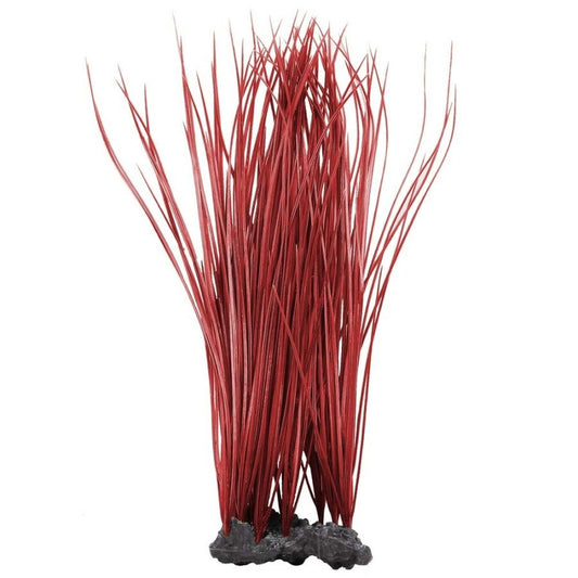 Aquatop Onion Grass Aquarium Plant Red 16 in