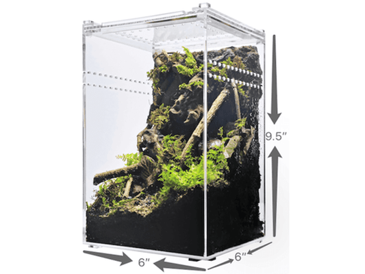 Herpcult Acrylic Enclosure Small-Tall 6"x6"x9.5" Herpcult 