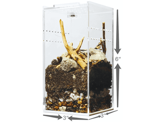 Herpcult Acrylic Enclosure Mini-Tall 3"x3"x6" Herpcult 