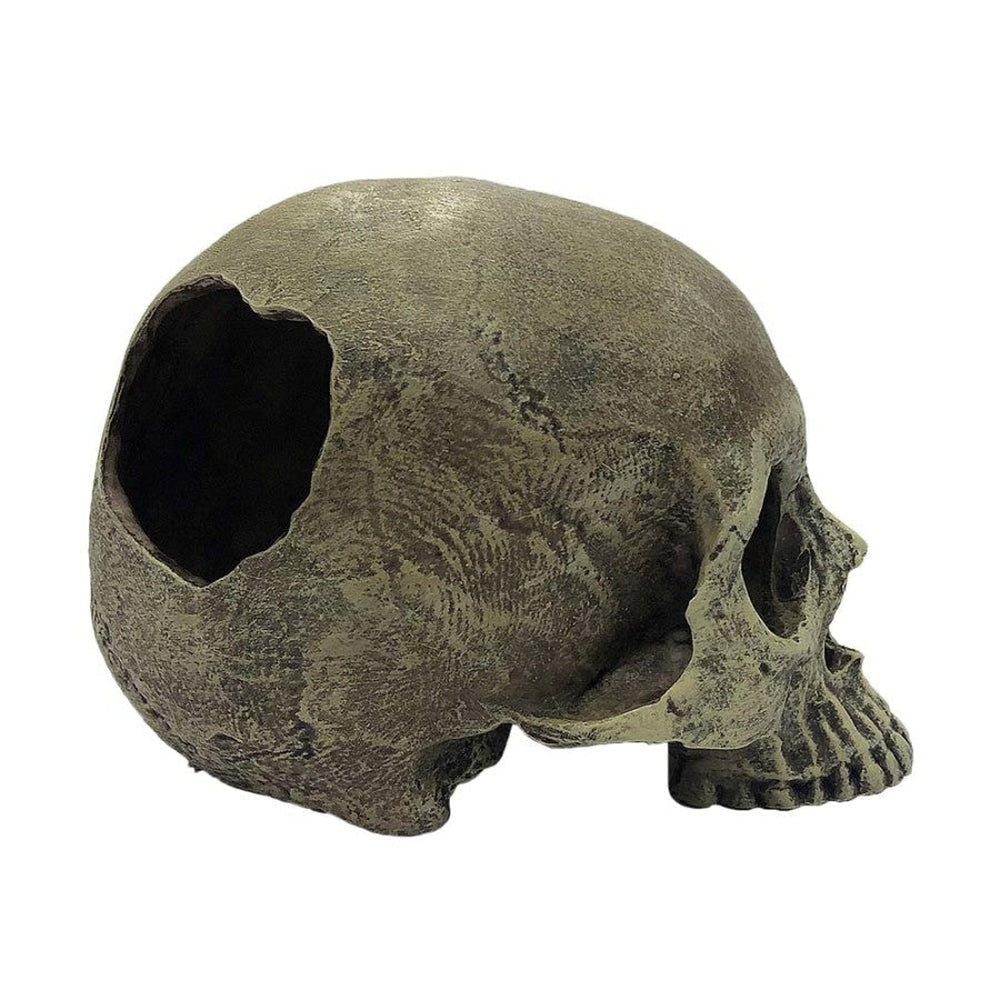 Komodo Half Human Skull Reptile Hideout Gray One Size