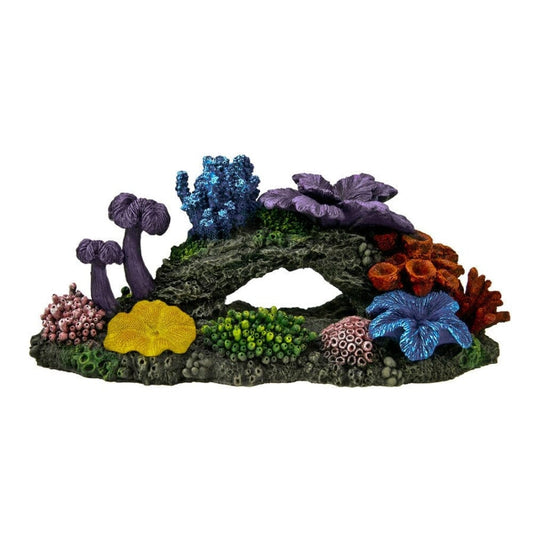 Blue Ribbon Pet Products Exotic Environments Hawaiian Reef Aquarium Ornament Multi-Color 1ea/6 in, Large Animals & Pet Supplies > Pet Supplies > Fish Supplies Blue Ribbon 