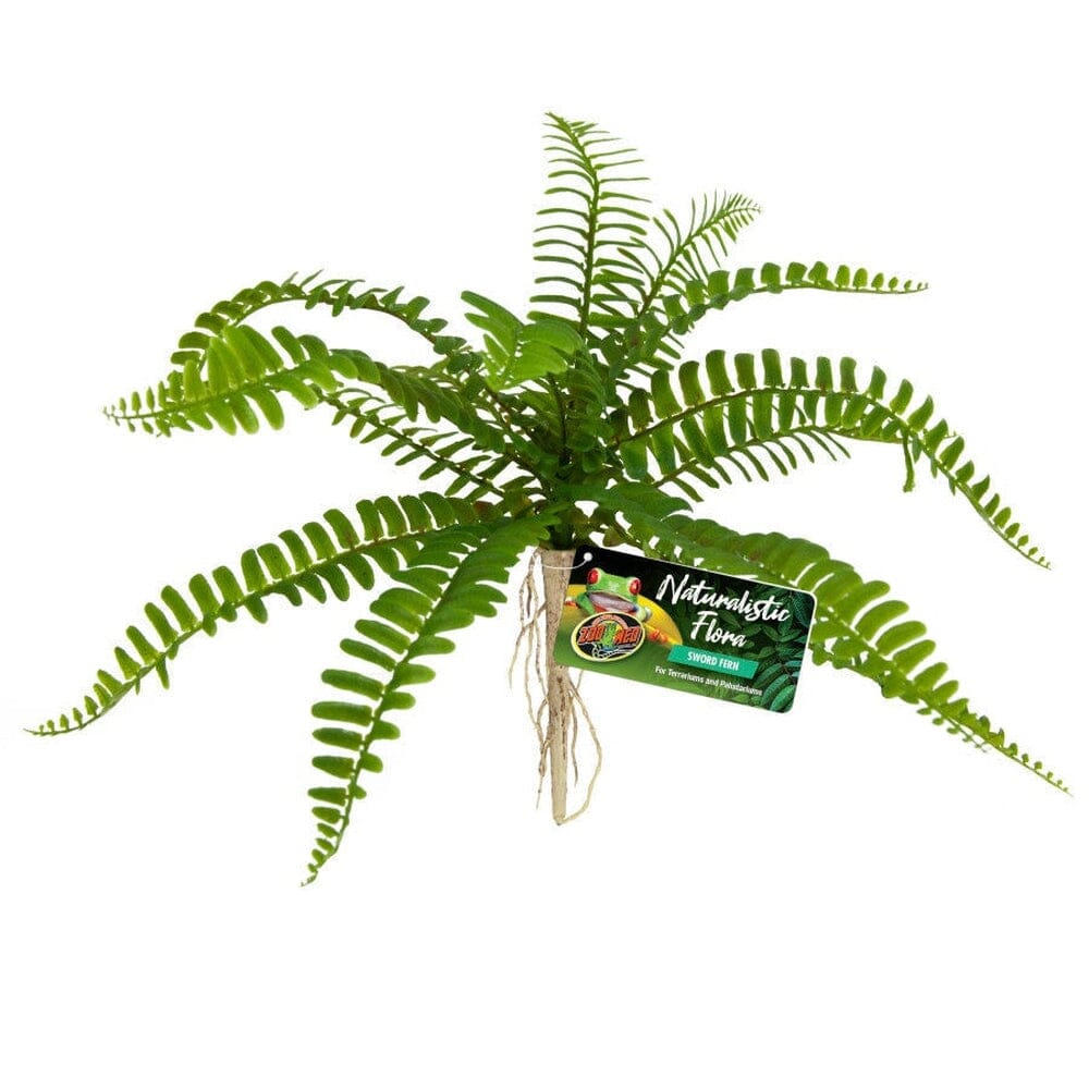 Zoo Med Naturalistic Flora Sword Fern Terrarium Plant Green, Tan, 1ea ...